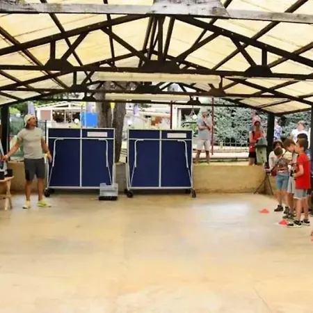 4 Etoiles - Piscine - Ccafdif *