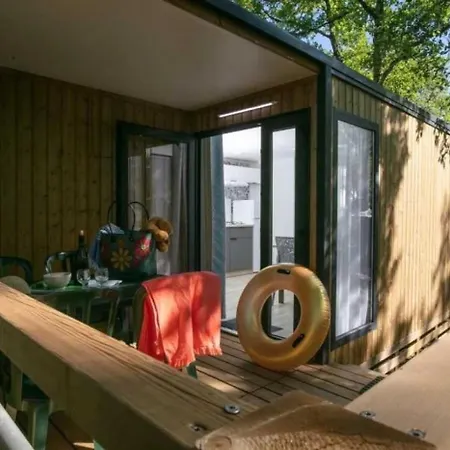 4 Etoiles - Piscine - Ccafdif * Loupiac (Lot)