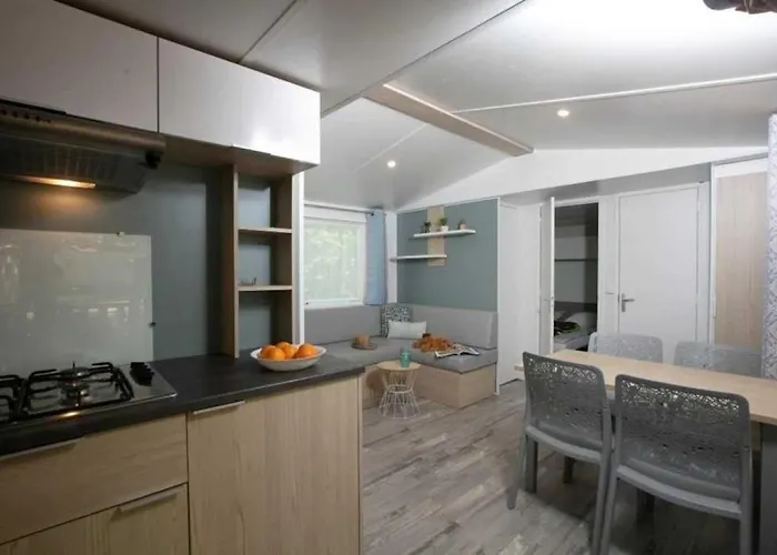 Chalet Zecamping 4 Familial Animaux Acceptes Parc Aquatique Et Restaurant Loupiac (Lot)